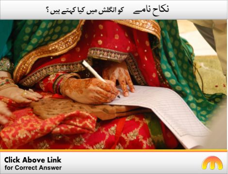 Gown Meaning In Urdu Britain SAVE 42  danielparsonsbookscom