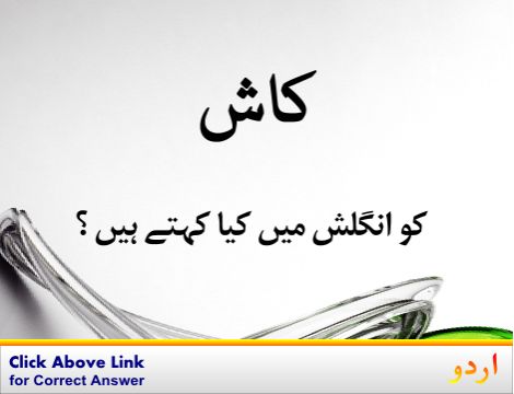 Wish Urdu Meaning With 8 Definitions And Sentence S Wish Urdu Meaning With 8 Definitions And Sentence S