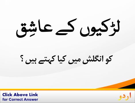 Executive Meaning In Urdu