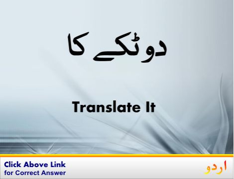 Mishap Urdu Meaning with 2 Definitions