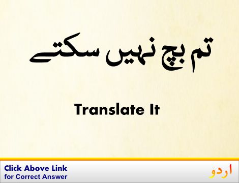 Dining Room Urdu Meaning With Definition