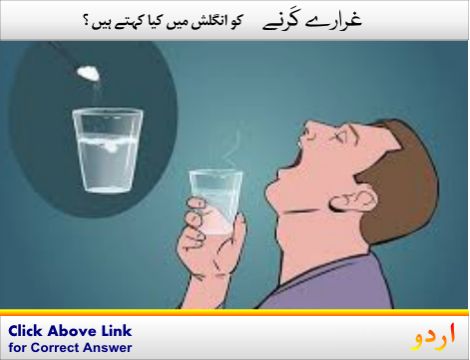 Conservator Urdu Meaning With 2 Definitions