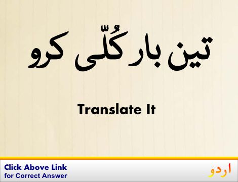 Washingtonian Urdu Meaning With Definition And Sentence S